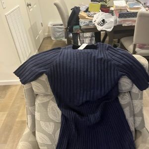 Ann Taylor new with tags blue sweater dress